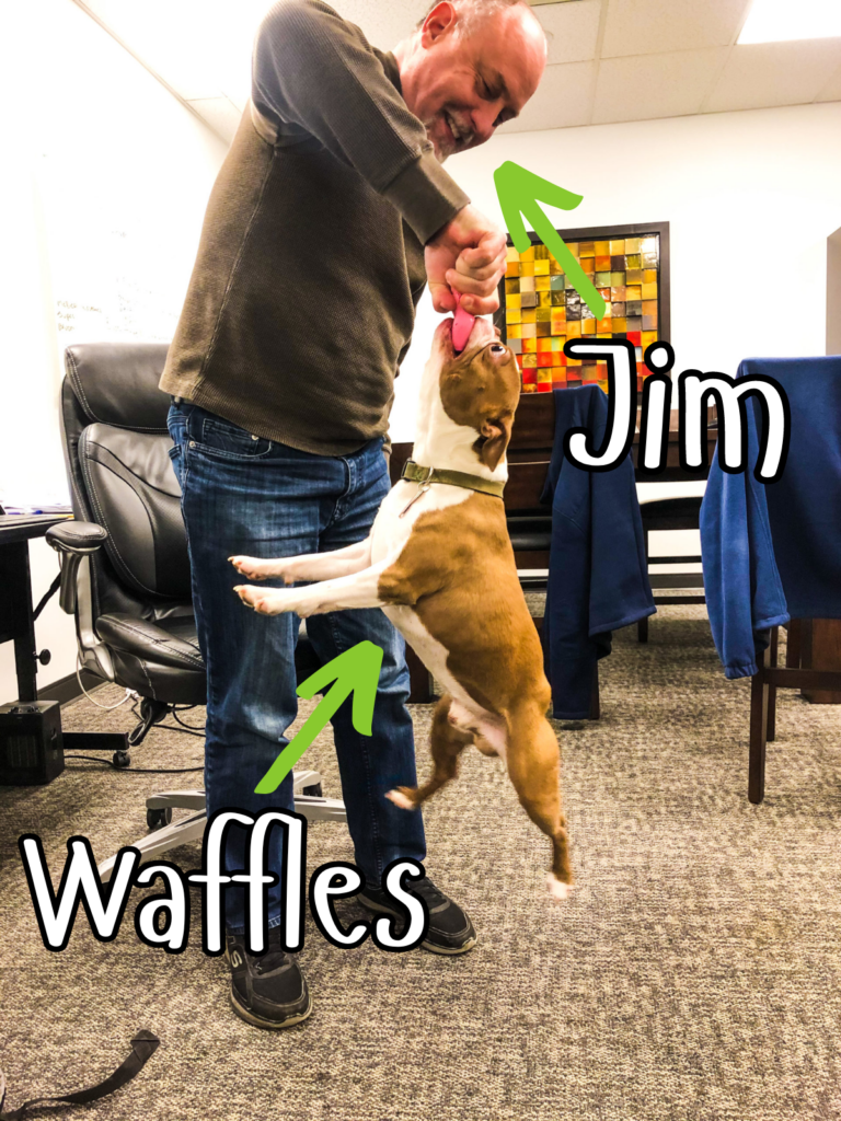Jim Waffles With Callouts